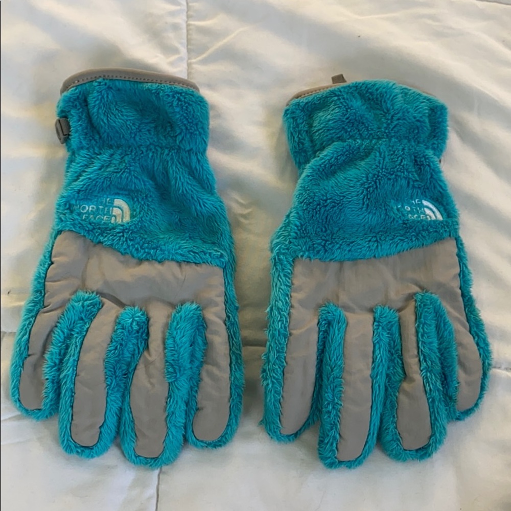 The North Face gloves with tech pointer fingers